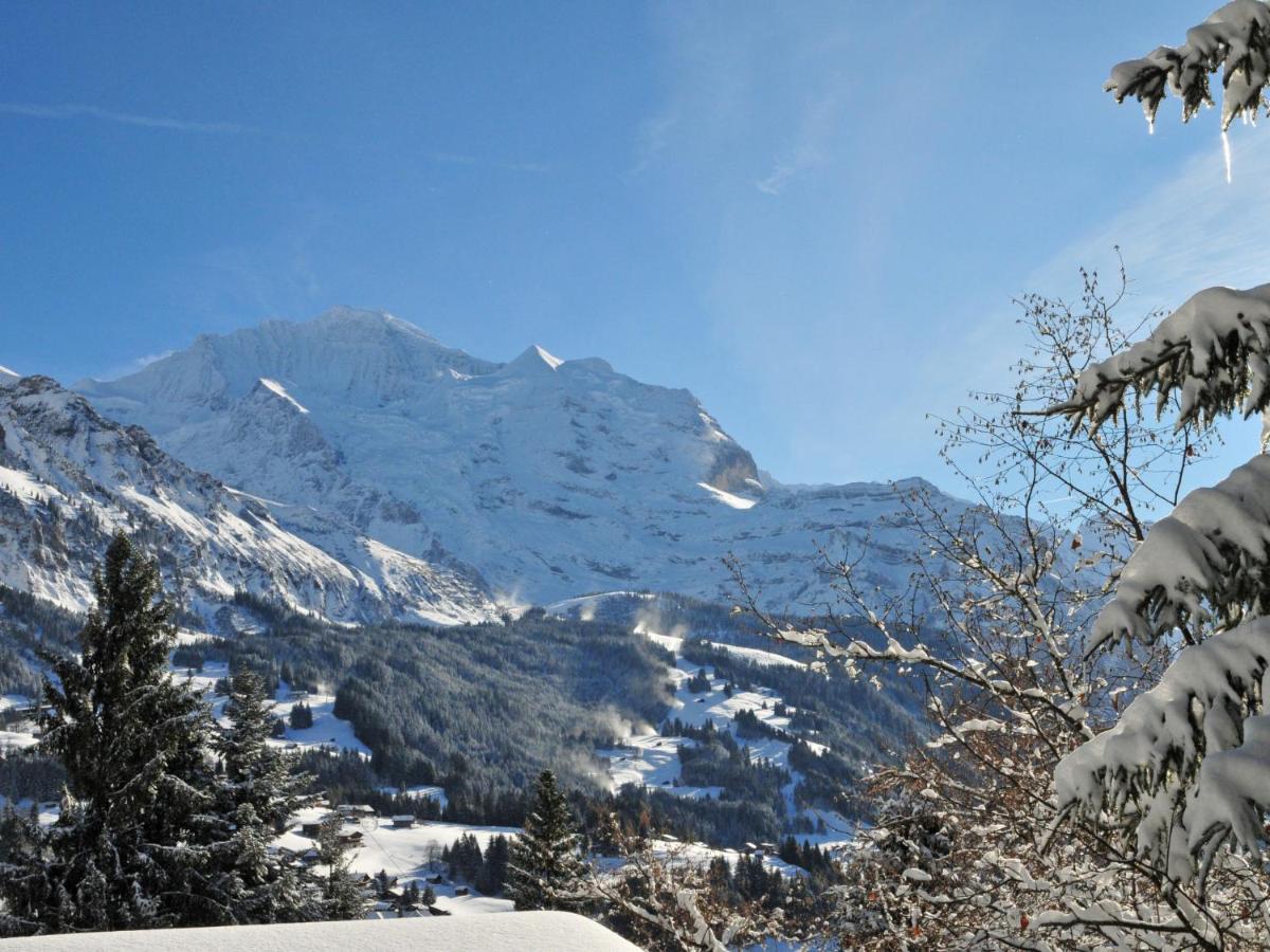Apartment Fortuna By Interhome Wengen Exterior photo
